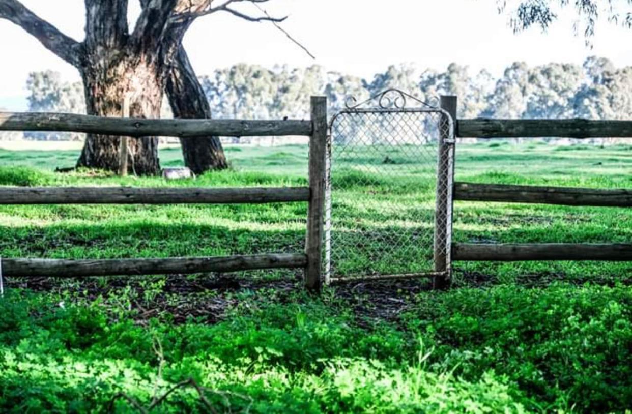 Oak Lane Guest House & Farm Stay Whorouly 外观 照片